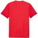 Koszulka Puma teamGoal Matchday Jersey M 705747 01