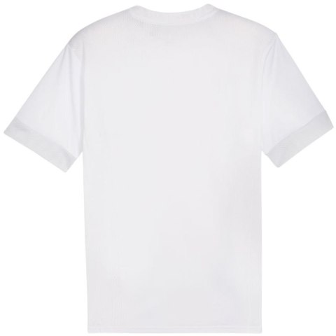 Koszulka Puma teamGoal Matchday Jersey M 705747 04