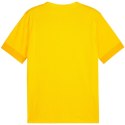 Koszulka Puma teamGoal Matchday Jersey M 705747 07