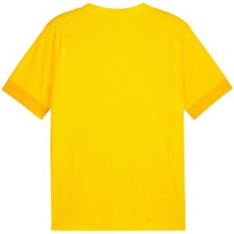 Koszulka Puma teamGoal Matchday Jersey M 705747 07