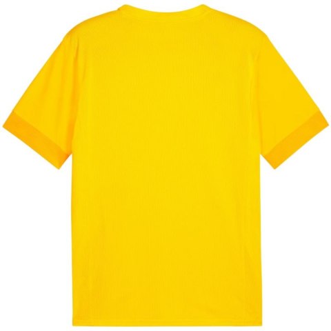 Koszulka Puma teamGoal Matchday Jersey M 705747 07