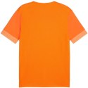 Koszulka Puma teamGoal Matchday Jersey M 705747 08