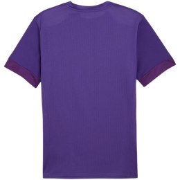 Koszulka Puma teamGoal Matchday Jersey M 705747 10
