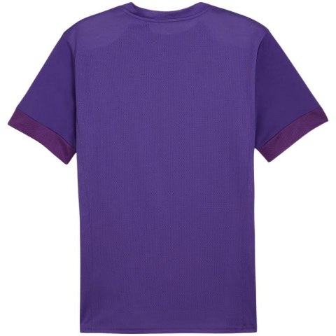 Koszulka Puma teamGoal Matchday Jersey M 705747 10