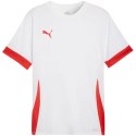 Koszulka Puma teamGoal Matchday Jersey M 705747 11