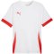 Koszulka Puma teamGoal Matchday Jersey M 705747 11