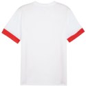 Koszulka Puma teamGoal Matchday Jersey M 705747 11