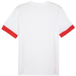 Koszulka Puma teamGoal Matchday Jersey M 705747 11