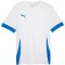 Koszulka Puma teamGoal Matchday Jersey M 705747 12