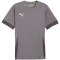 Koszulka Puma teamGoal Matchday Jersey M 705747 13