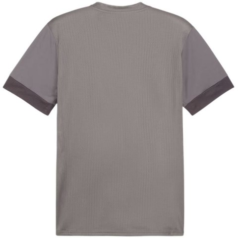 Koszulka Puma teamGoal Matchday Jersey M 705747 13