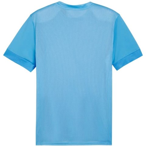Koszulka Puma teamGoal Matchday Jersey M 705747 18