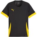 Koszulka Puma teamGoal Matchday Jersey M 705747 26