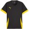 Koszulka Puma teamGoal Matchday Jersey M 705747 26