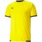 Koszulka Puma teamLIGA Jersey M 704917 07
