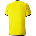 Koszulka Puma teamLIGA Jersey M 704917 07