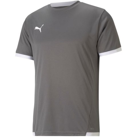 Koszulka Puma teamLIGA Jersey M 704917 13