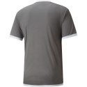 Koszulka Puma teamLIGA Jersey M 704917 13