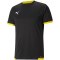 Koszulka Puma teamLIGA Jersey M 704917 26