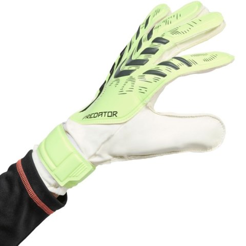 Rękawice bramkarskie adidas Predator Training M JN5356