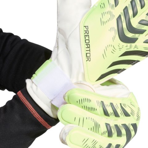 Rękawice bramkarskie adidas Predator Training M JN5356