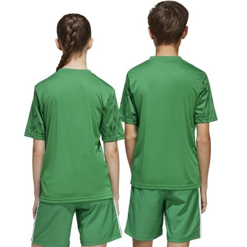 Koszulka adidas Team Icon 25 JSY Jr JJ1956