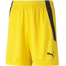 Spodenki Puma teamLIGA Shorts Jr 704931 07