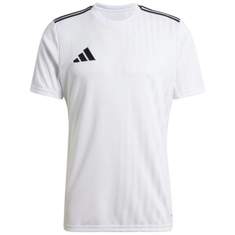 Koszulka adidas Campeon 25 Jersey M JF6059