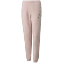 Spodnie Puma Alpha Sweatpants FL Jr 589235 36