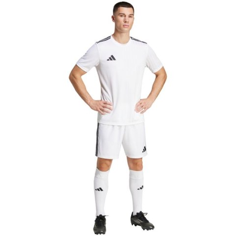 Koszulka adidas Campeon 25 Jersey M JF6059
