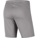 Spodenki Treningowe/Meczowe Bramkarz Nike Park III Junior HOME